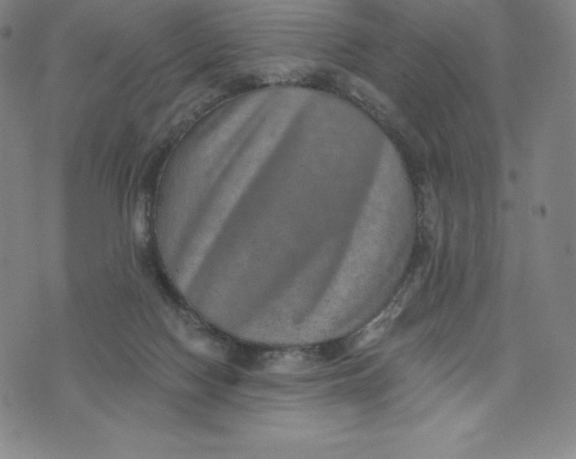 X0000074000074200609111609