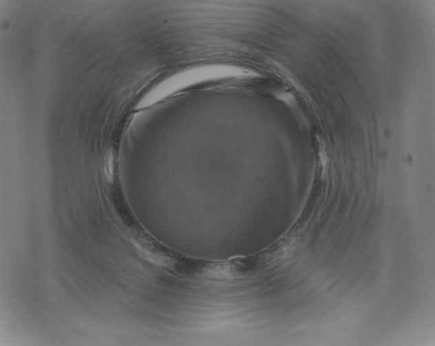 X0000074000076200609111609