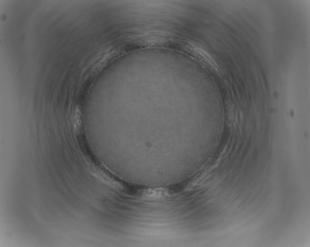 X0000074000077200609111609