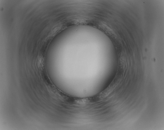 X0000074000079200609111609