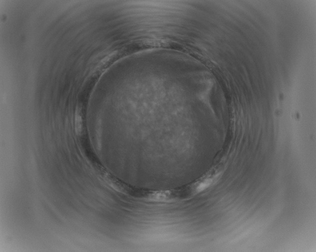 X0000074000080200609111609