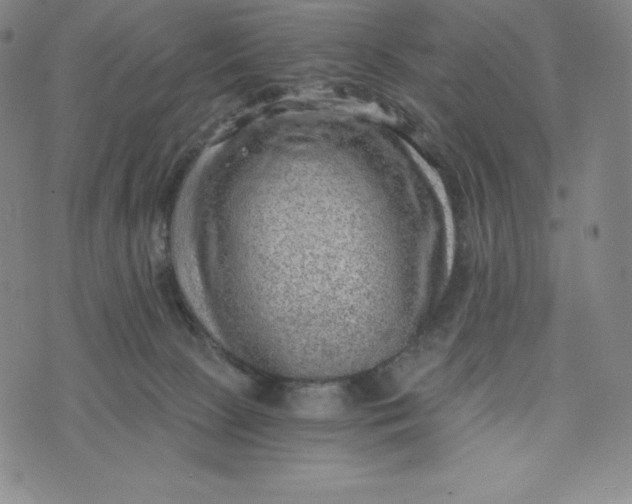 X0000074000081200609111609