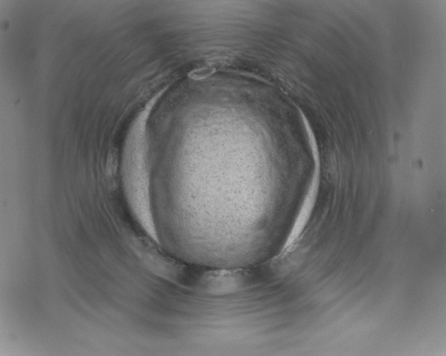 X0000074000082200609111609