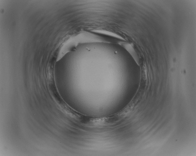 X0000074000084200609111609