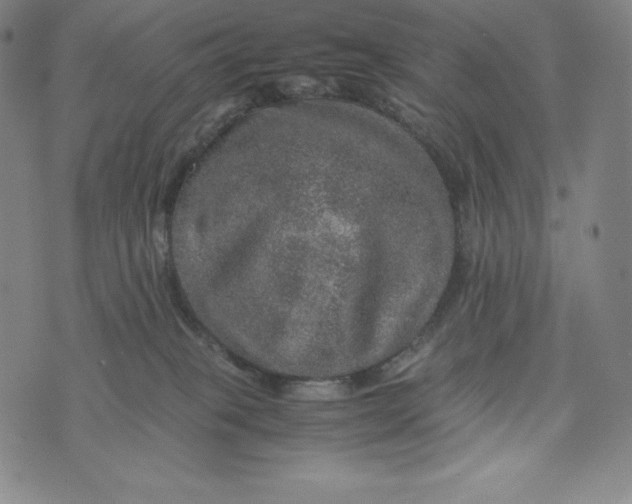 X0000074000085200609111609