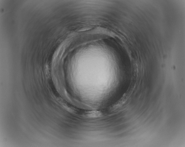 X0000074000087200609111609