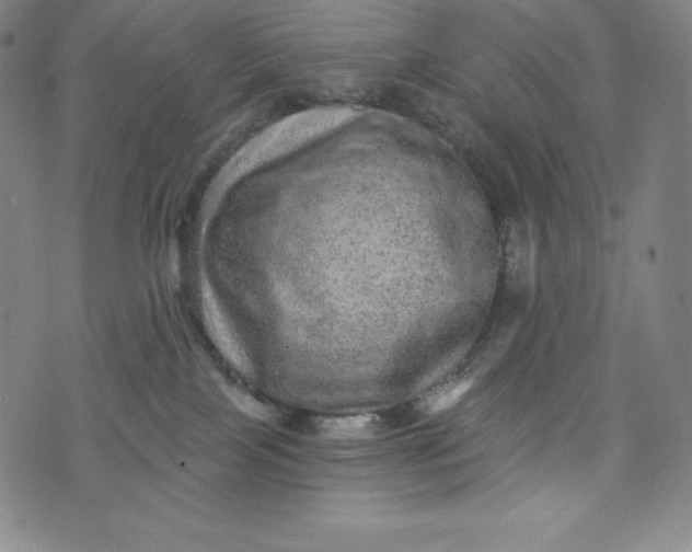 X0000074000089200609111609