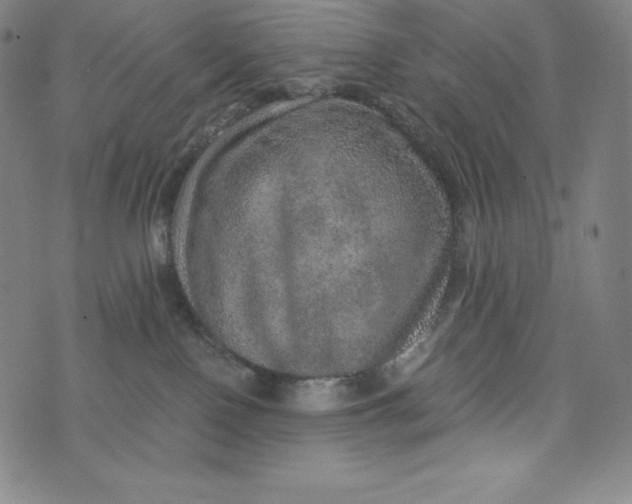 X0000074000090200609111609