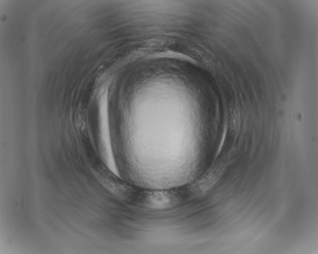 X0000074000091200609111609