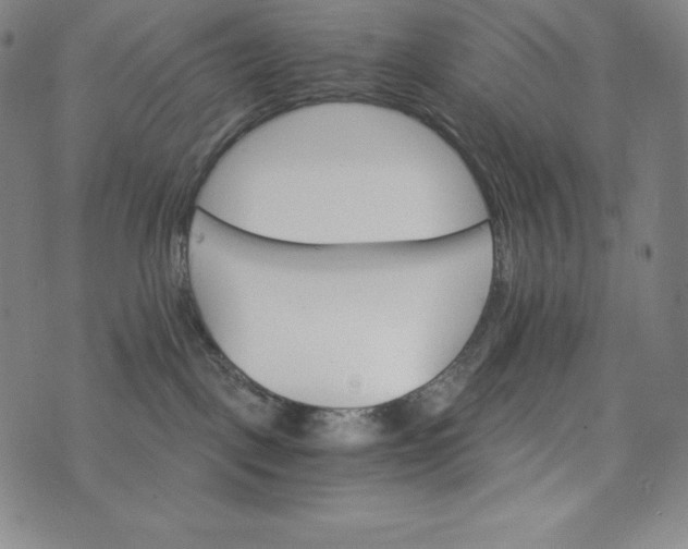 X0000074000093200609111609