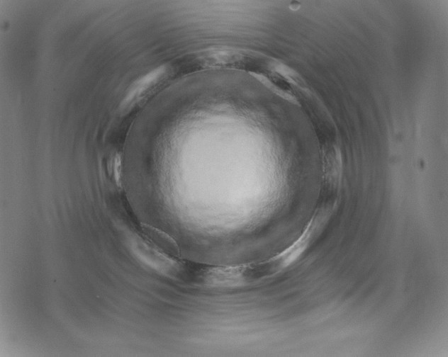 X0000074000094200609111609