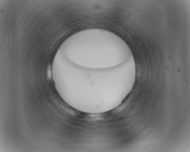 X0000074000095200609111609