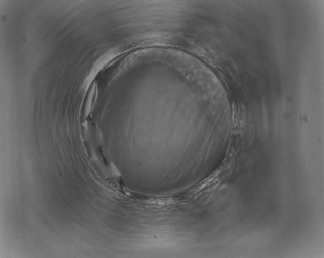 X0000074000099200609111608