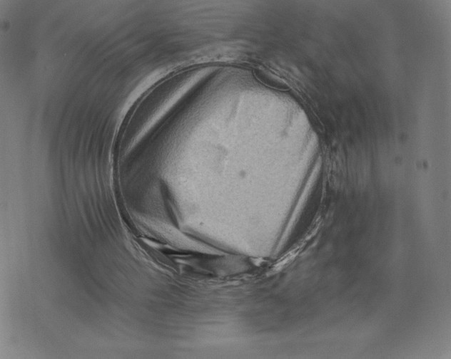 X0000074000100200609111608