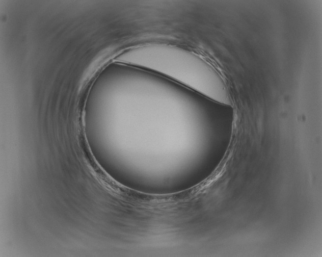 X0000074000101200609111608