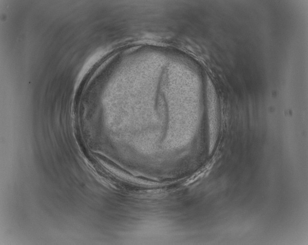 X0000074000102200609111608