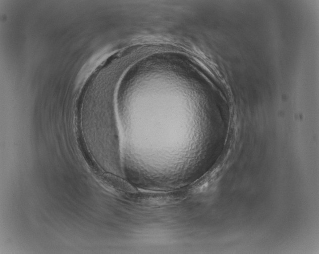 X0000074000103200609111608