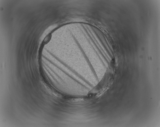 X0000074000104200609111608