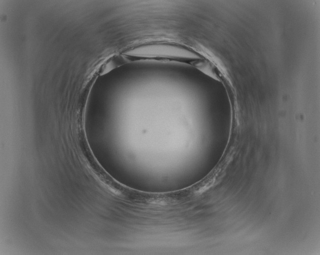 X0000074000105200609111608