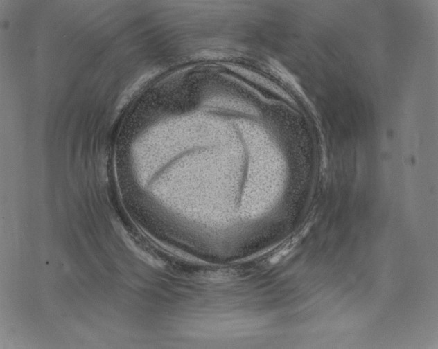 X0000074000106200609111608