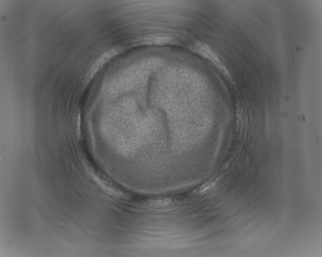 X0000074000110200609111608