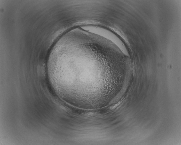 X0000074000111200609111608