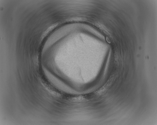 X0000074000112200609111608