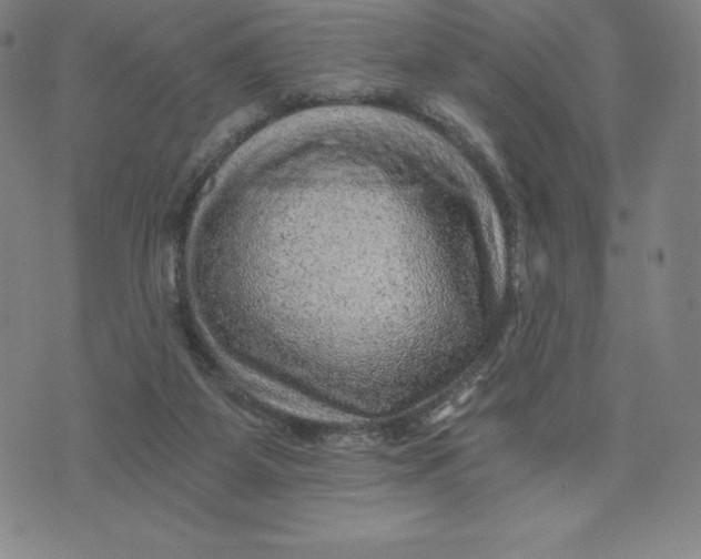 X0000074000115200609111608