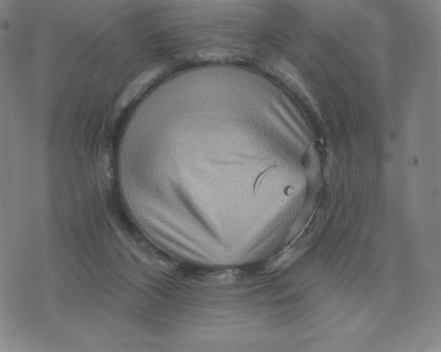 X0000074000116200609111608