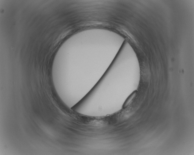 X0000074000119200609111608