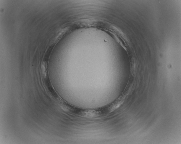 X0000074000121200609111608