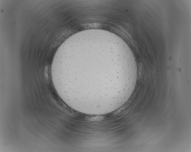 X0000074000122200609111608