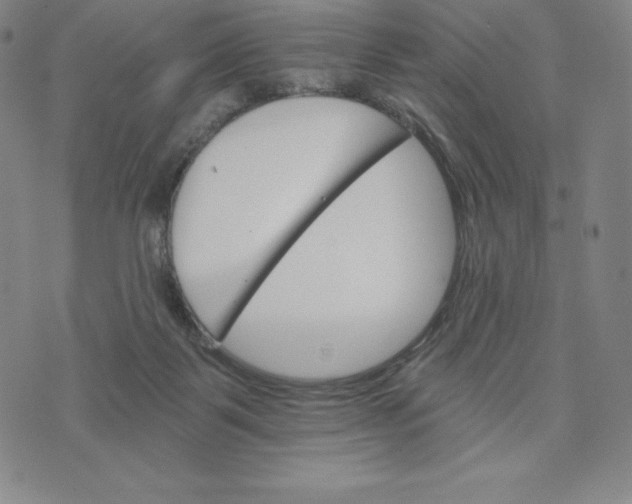 X0000074000123200609111608