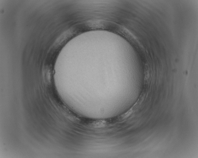 X0000074000124200609111608