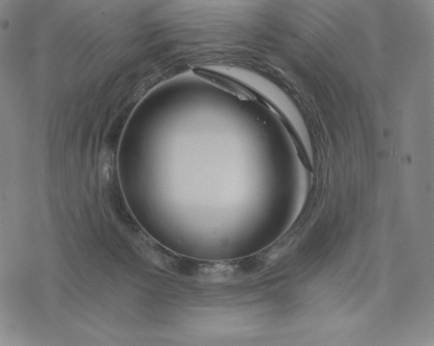 X0000074000125200609111608