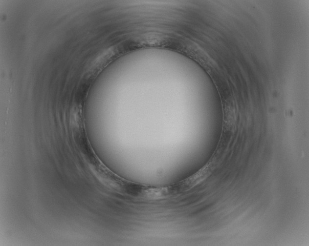 X0000074000126200609111608