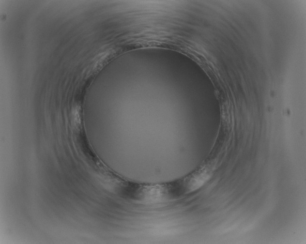 X0000074000127200609111608