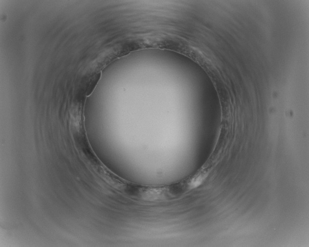 X0000074000129200609111608