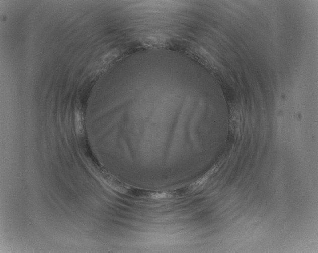 X0000074000130200609111608