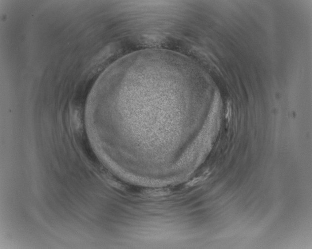 X0000074000131200609111608