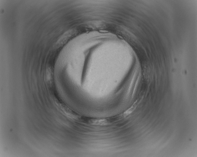 X0000074000132200609111608