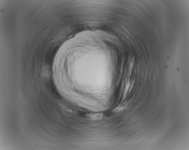 X0000074000135200609111608