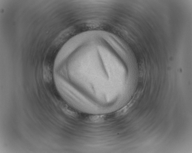 X0000074000136200609111608