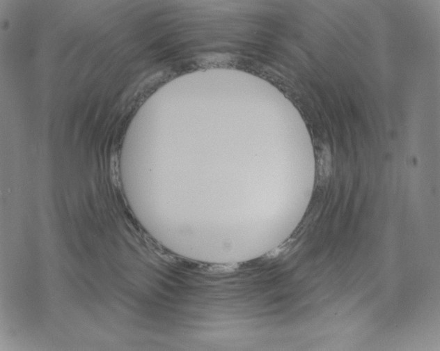 X0000074000138200609111608