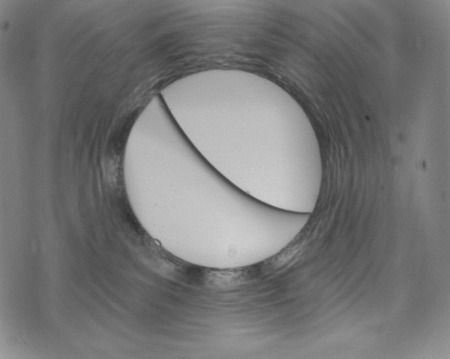 X0000074000139200609111608