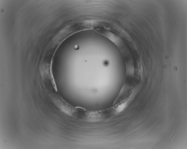 X0000074000141200609111608