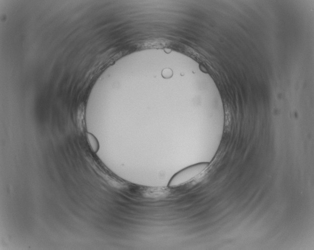 X0000074000142200609111608