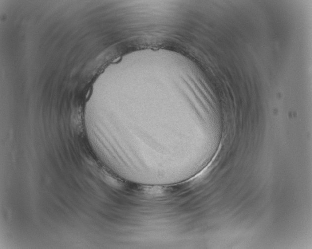 X0000074000144200609111608