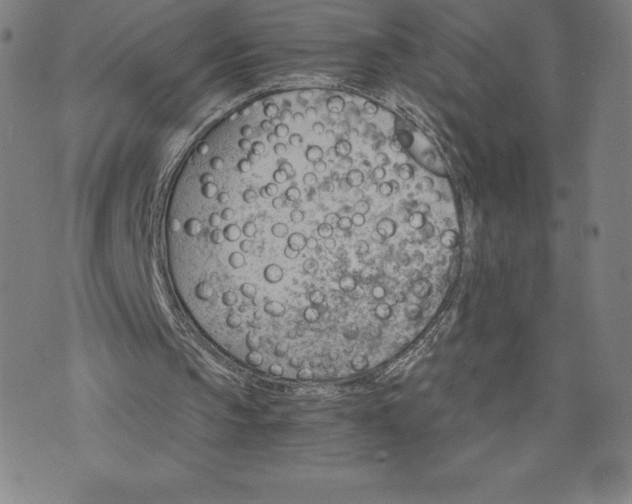 X0000074000145200609111607