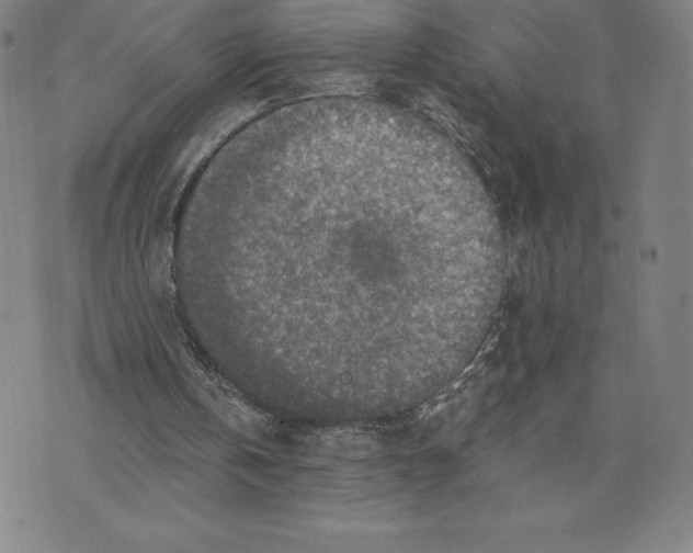 X0000074000146200609111607